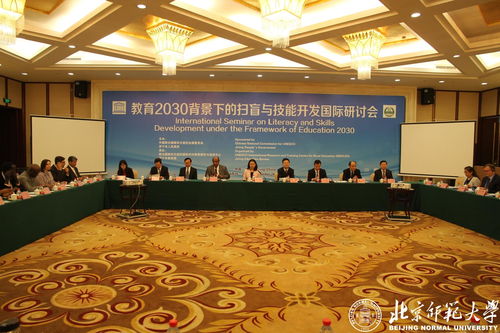 教育2030背景下的掃盲與技能開發(fā)國(guó)際研討會(huì) 技術(shù)開發(fā)的創(chuàng)新路徑